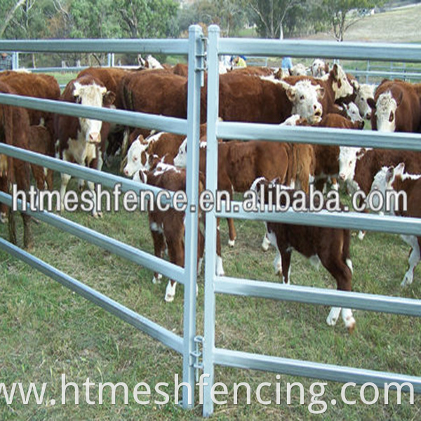 Sheep & Goat Pens/Galvanised Round/ Oval 6 Bars With Vertical Square Tube Panels 3 meters (L) x 1.02 meters (H)